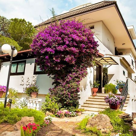 Bed & Breakfast Santa Fara Bari Exterior foto